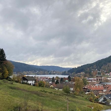 Entre Lac Et Pistes De Ski Gérardmer Extérieur photo